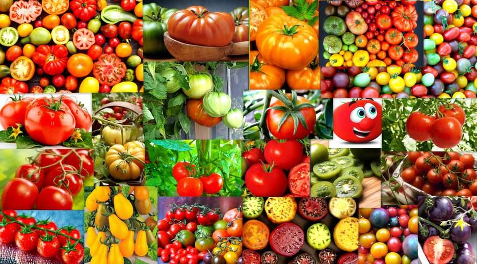 tomatoes puzzle online from photo