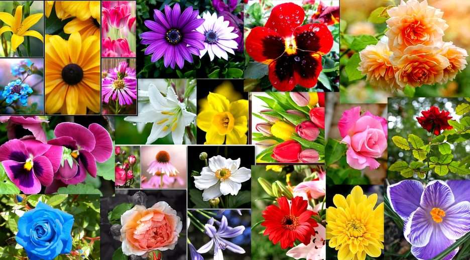 花のコラージュ 写真のパズル