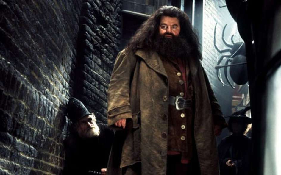 Rubeus Hagrid pussel online från foto