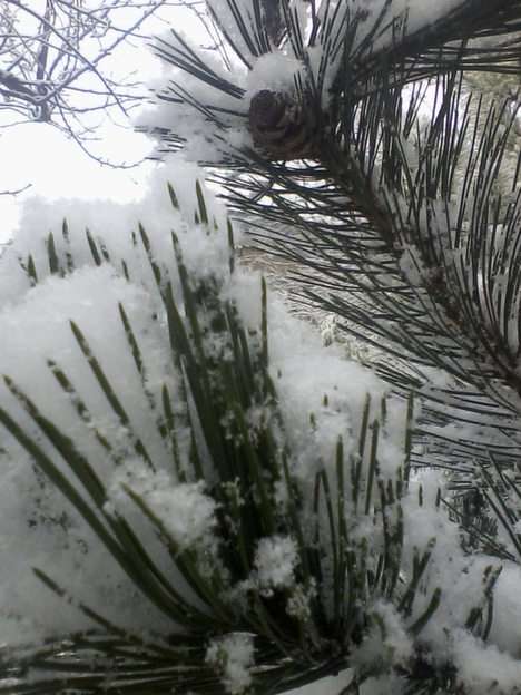 Invierno rompecabezas en línea