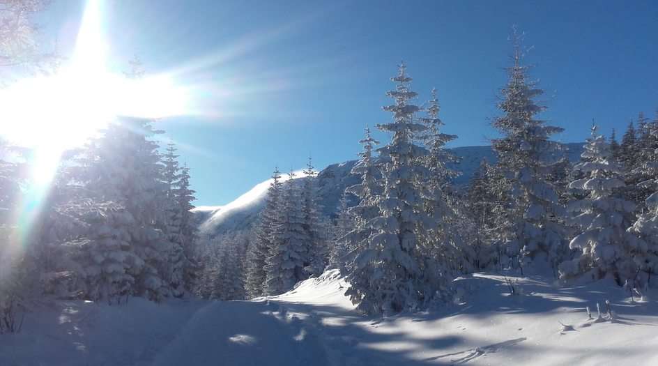 зимата в Гигантските планини пъзел от снимката