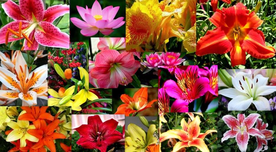 lilies puzzle online from photo