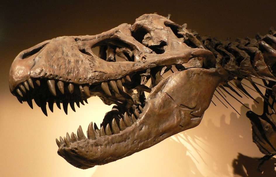 T-rex puzzel online van foto