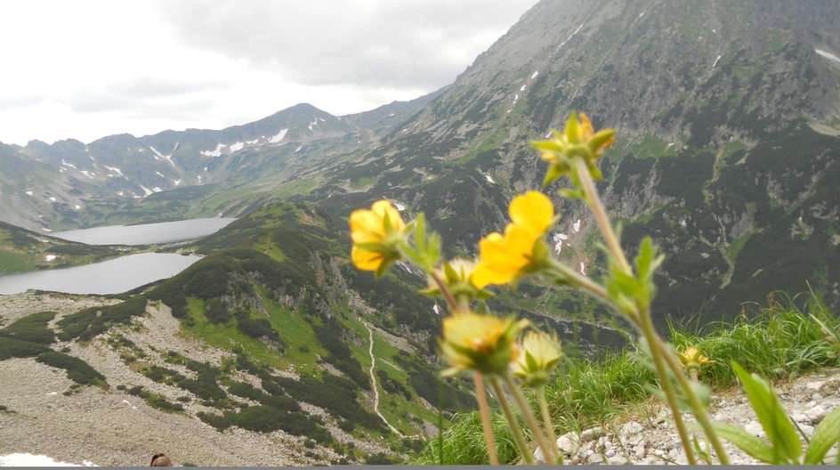 Изглед към Долината на петте езера онлайн пъзел от снимка