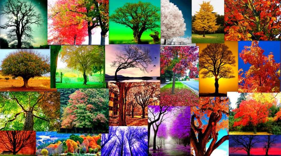 färgglada träd Pussel online