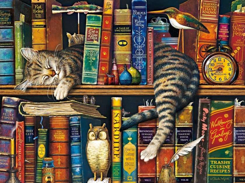 Kočka roztomilá puzzle online z fotografie