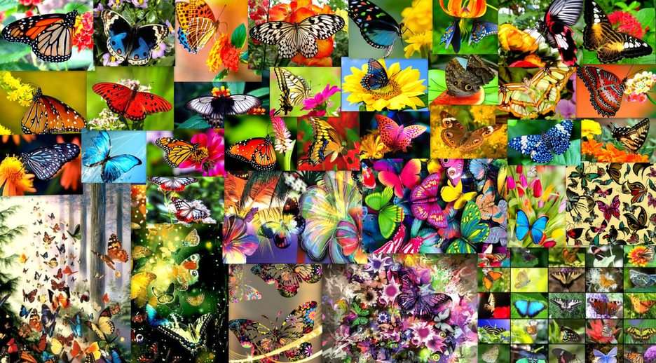 fabulous butterflies puzzle online from photo