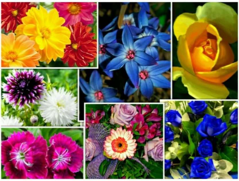 virágok puzzle online fotóról