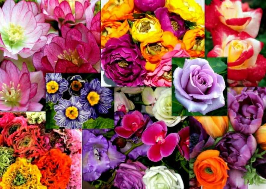 bloemen online puzzel