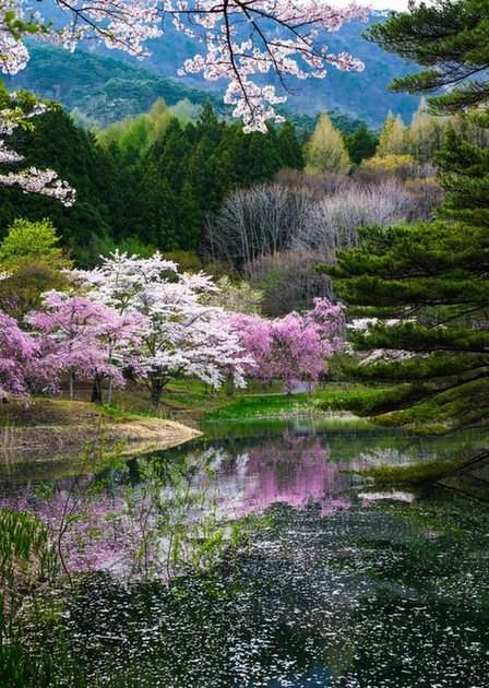 Весна в Японии | Казухиро Яшима пазл онлайн из фото