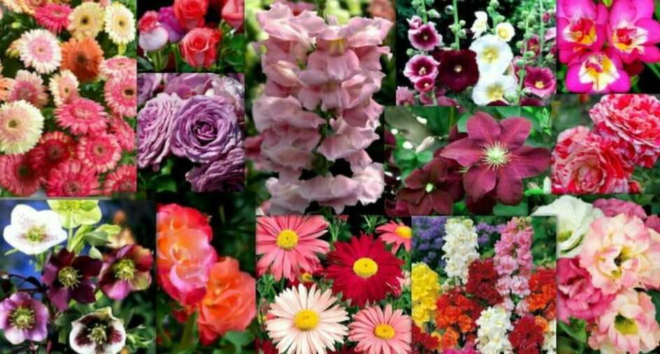 λουλούδια online παζλ