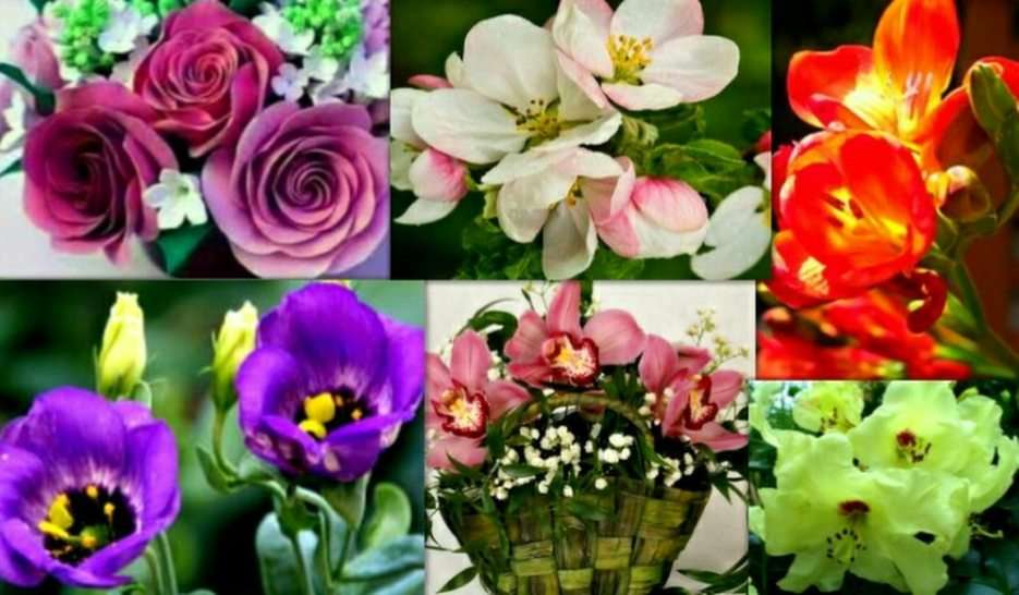 цветя онлайн пъзел от снимка