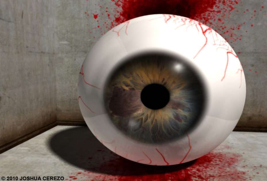 Eyeball puzzle online from photo