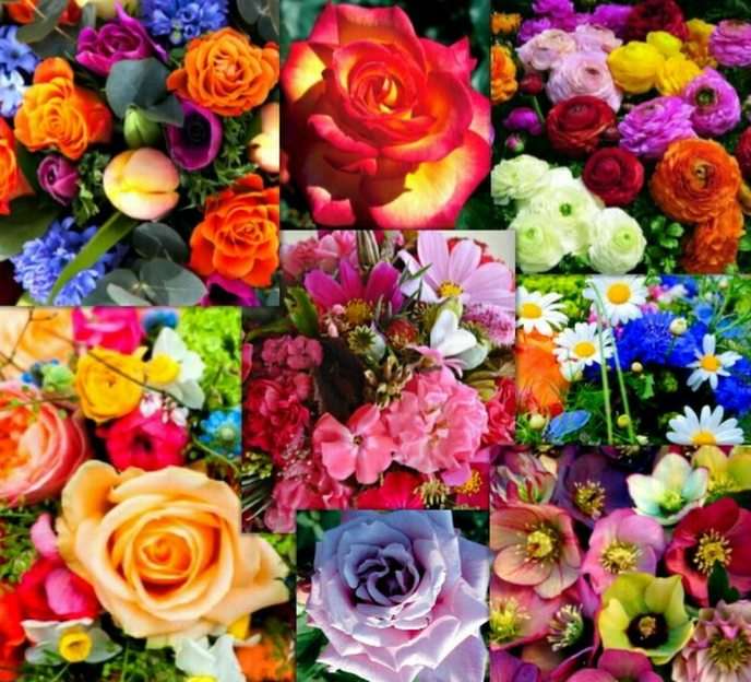 fiori puzzle online da foto