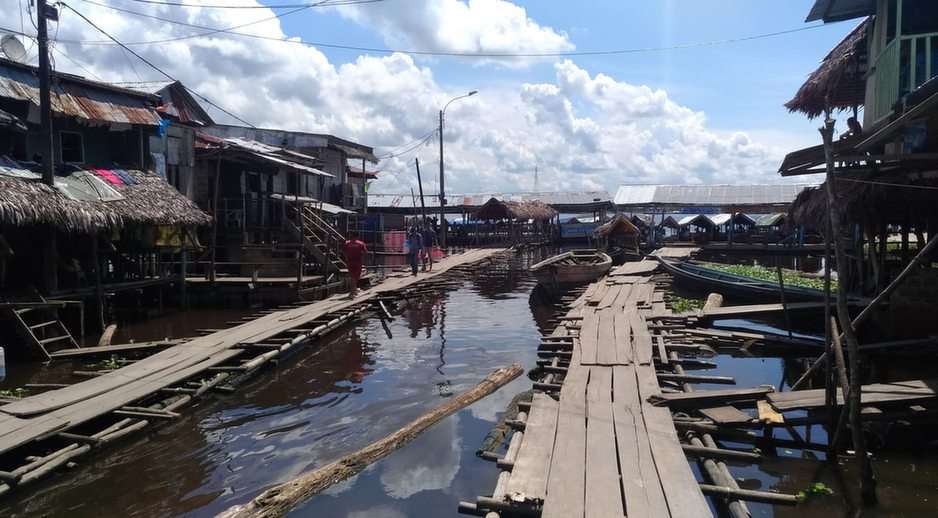 Amazonas - Perú - 9 rompecabezas en línea