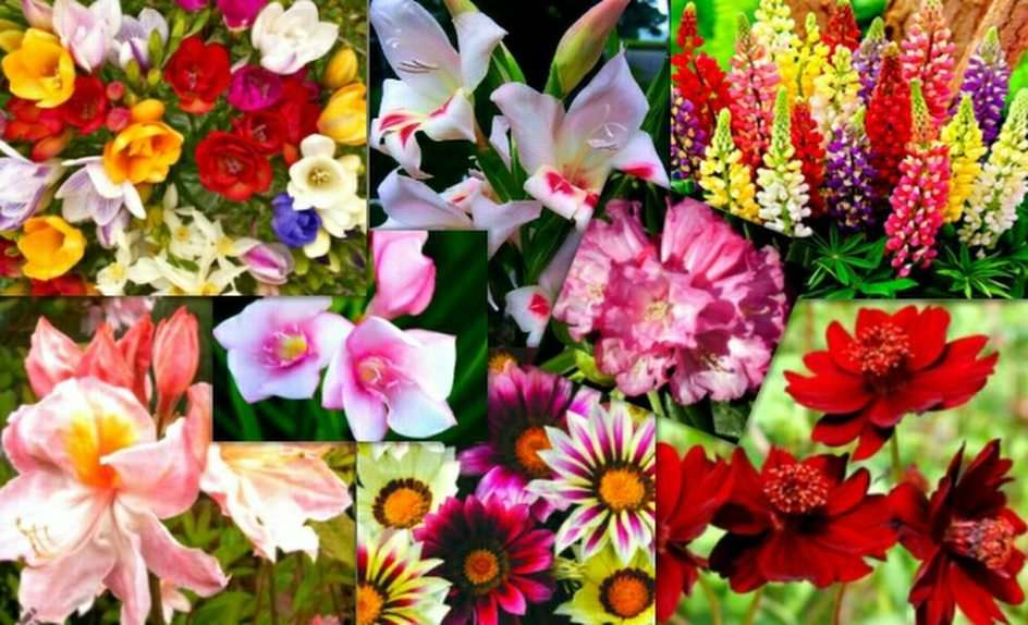 bloemen online puzzel
