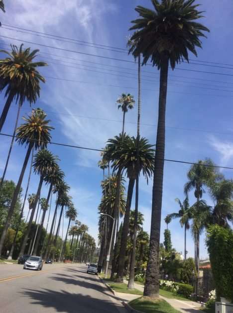 Beverly Hills rompecabezas en línea