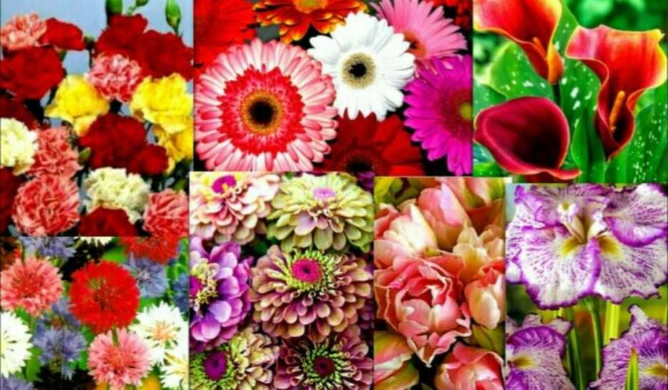 virágok online puzzle