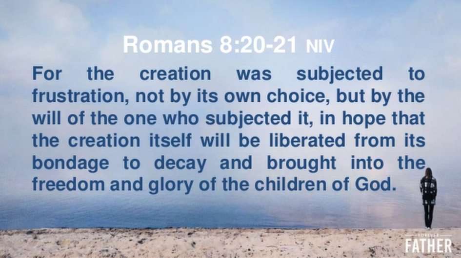 Romanos 8: 20-21 rompecabezas en línea