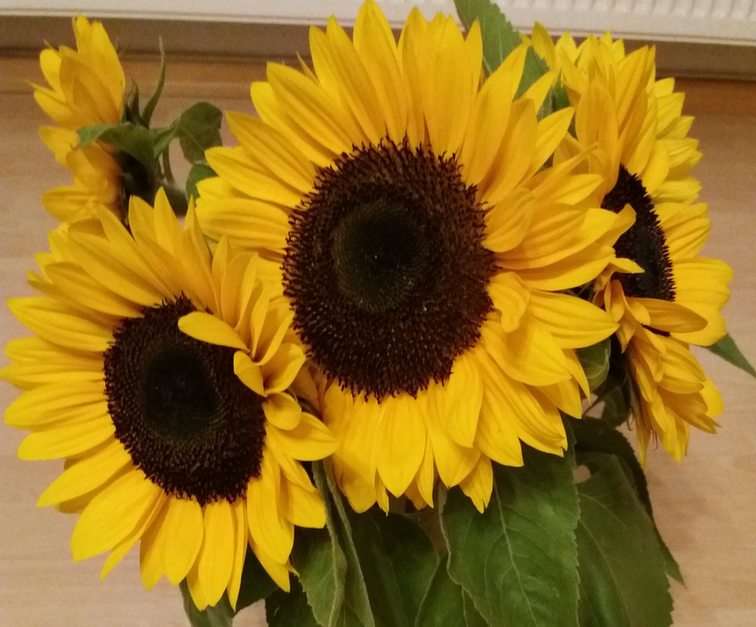 Sunflowers online puzzle