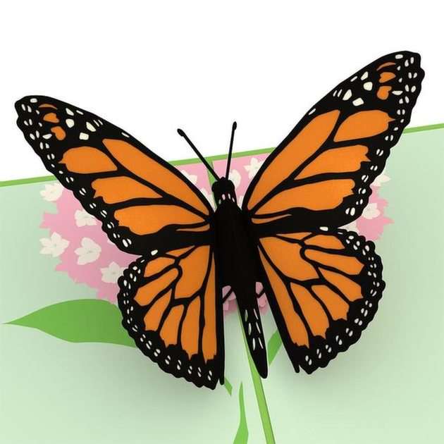 farfalla puzzle online da foto