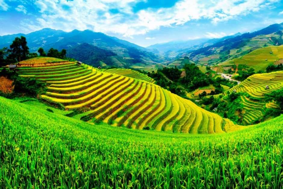 terraços de arroz puzzle online