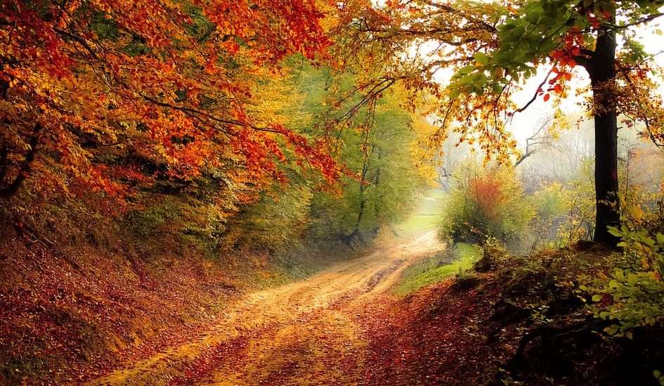 Autumn Road online puzzle