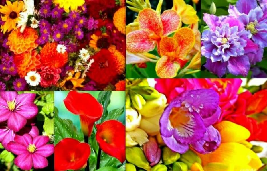 virágok online puzzle