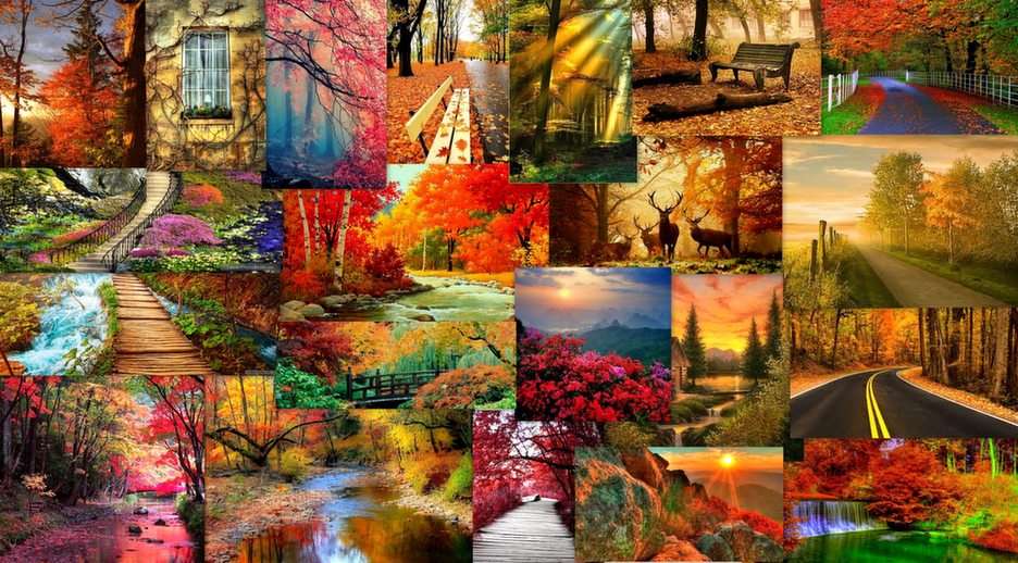 l'automne puzzle en ligne à partir d'une photo