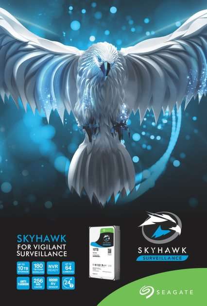 SKYHAWK puzzle online from photo