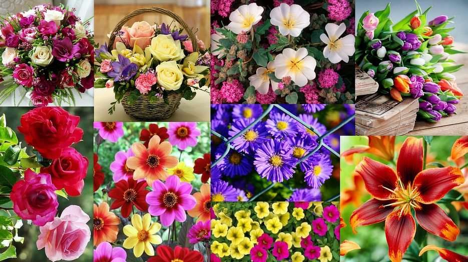 Цветы пазл онлайн из фото