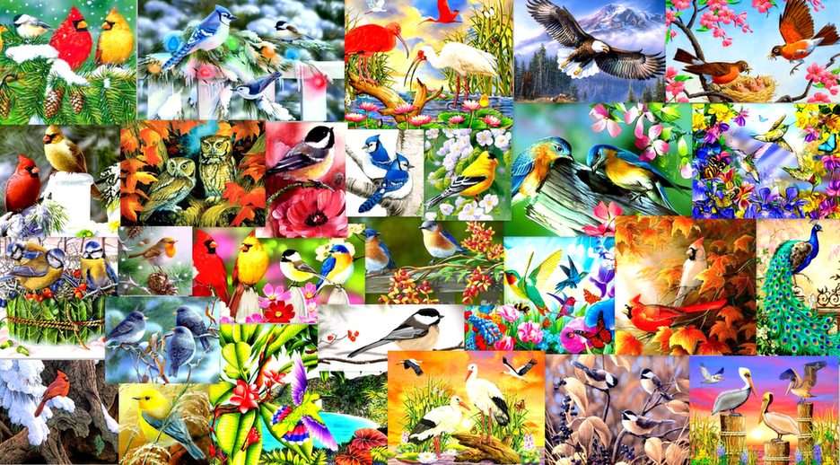 ptáci, ptáci online puzzle