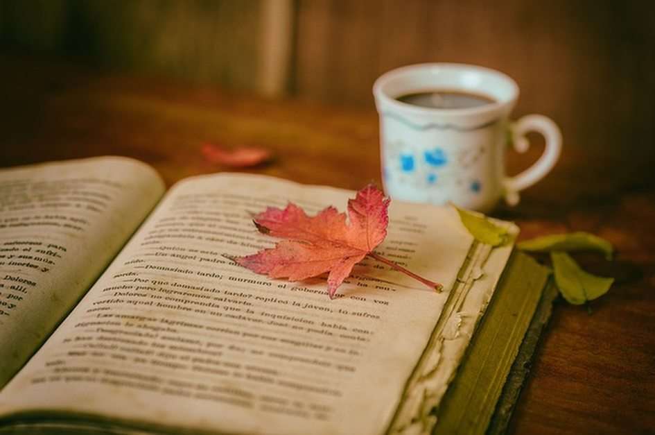 Есенни книги онлайн пъзел