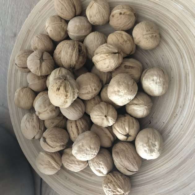 En skål med nötter pussel online från foto