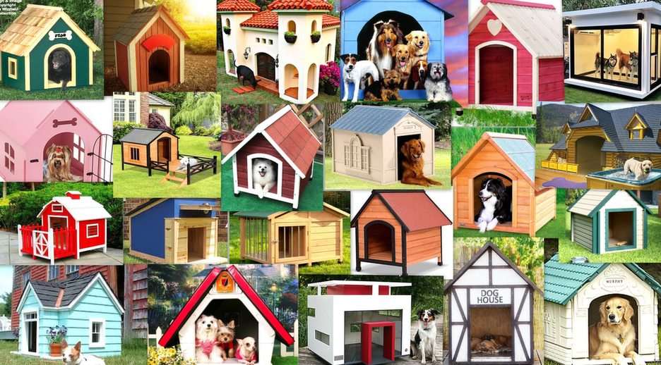 doghouse-kennel online puzzle