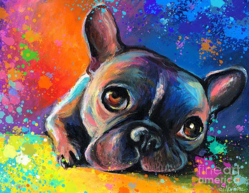 colorful sleepy dog puzzle online from photo