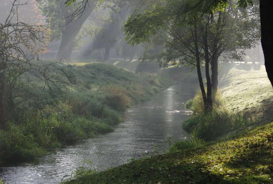 Ο ποταμός Czarna Hańcza παζλ online από φωτογραφία