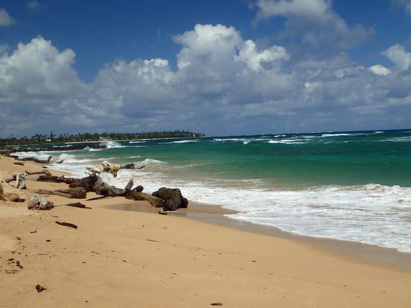 Playa en Kauai puzzle online a partir de foto