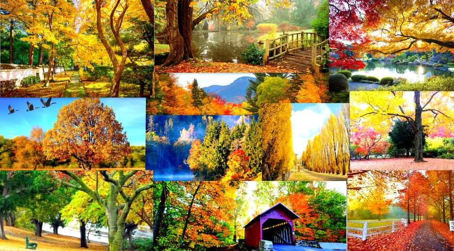 otoño puzzle online a partir de foto
