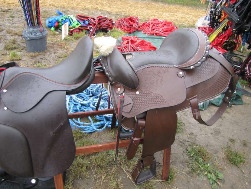 Saddles online puzzle