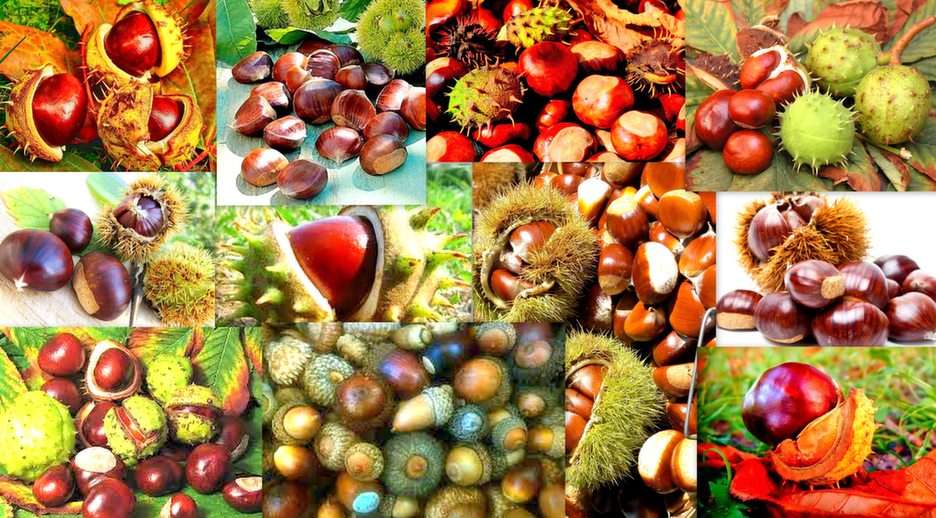 az ősz gyümölcsei online puzzle