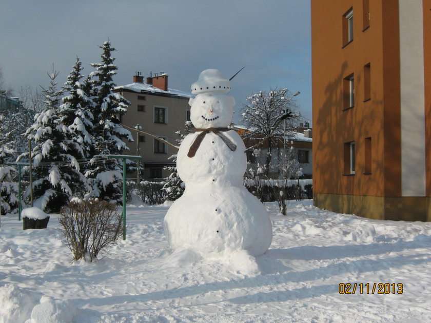 зимата онлайн пъзел от снимка