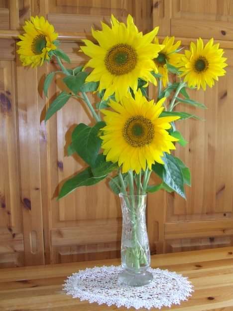 sunflowers puzzle online from photo