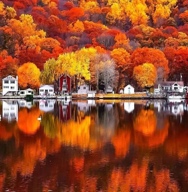 outono puzzle online a partir de fotografia