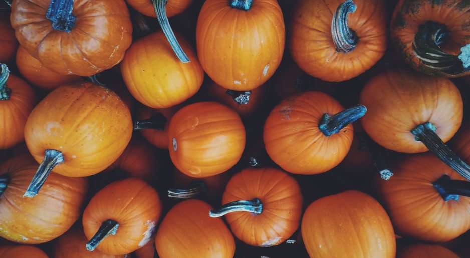 pumpkin halloween puzzle online from photo