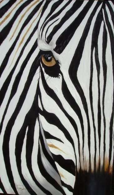 Zebra puzzle online z fotografie