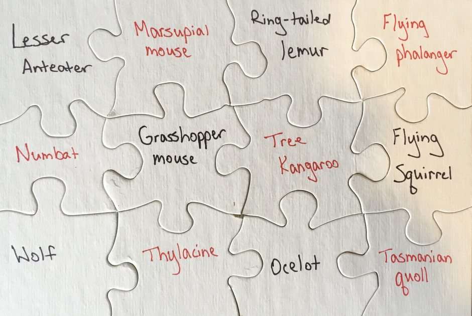 Evidence for Evolution Breakout Puzzle puzzle online from photo