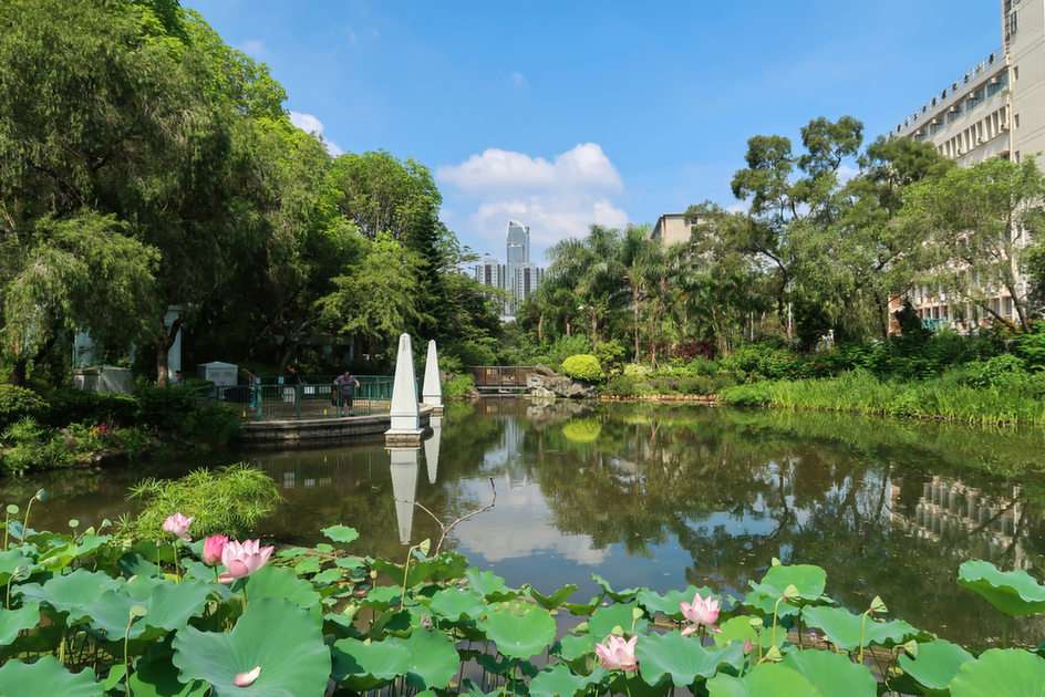 Πάρκο Shing Mun Valley online παζλ
