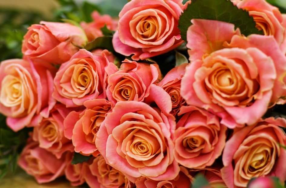 rosas puzzel online van foto