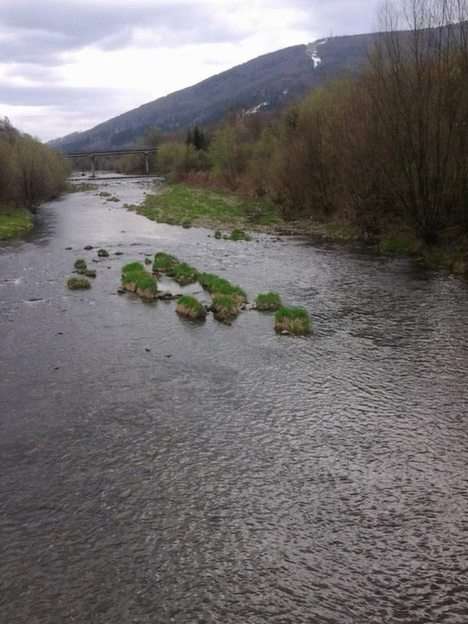 Река. онлайн пъзел от снимка